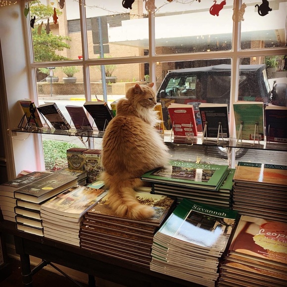 Meet your Posher, Melinda - Picture 16 of 16